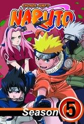 Naruto - Season 5 (English Audio)
