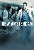 New Amsterdam (2018) - Season 1