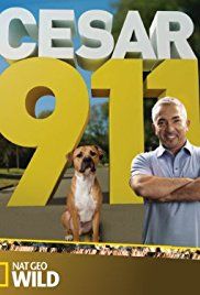 Cesar 911 season 2