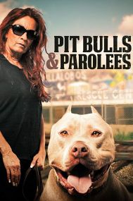 Pit Bulls and Parolees - Season 15