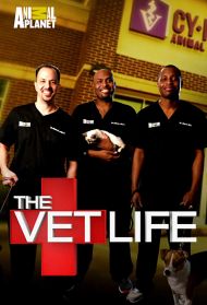 The Vet Life - Season 1